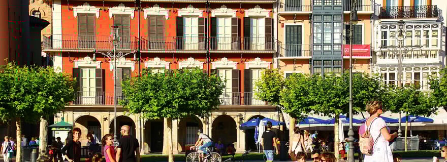 Genève : visite privée à pied avec un habitant