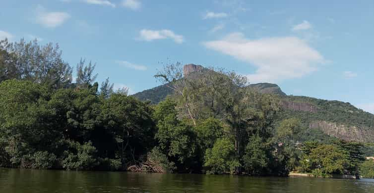 Pantanal of Rio de Janeiro | GetYourGuide