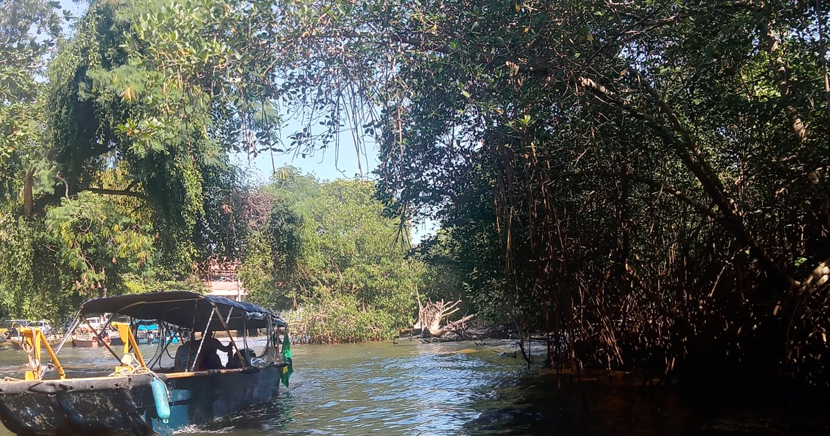 Pantanal of Rio de Janeiro | GetYourGuide