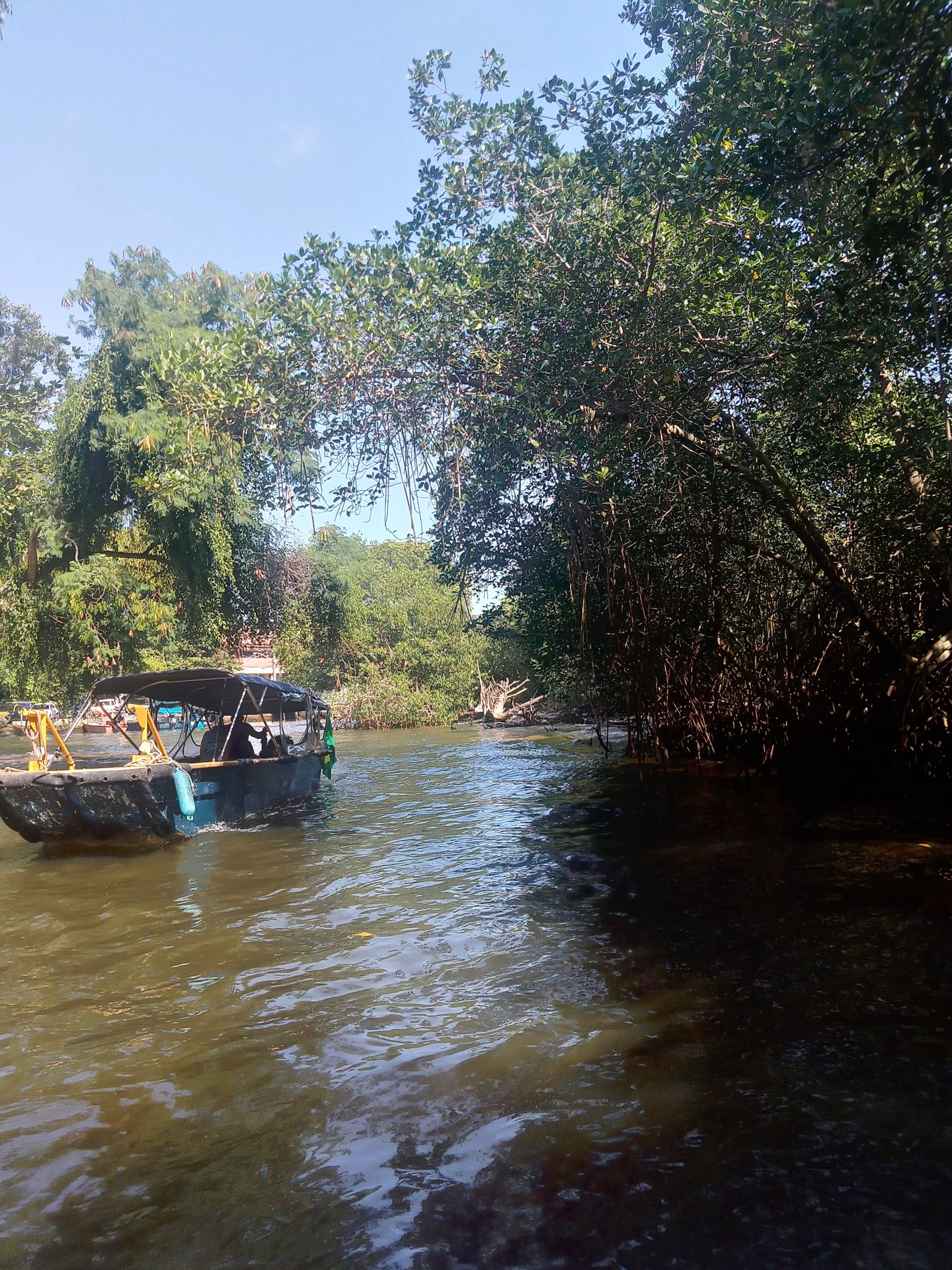 Das Pantanal von Rio de Janeiro