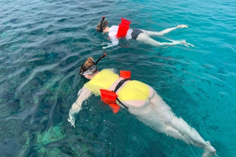 ¡La mejor excursión! Tres paradas - SnorkelTodo Incluido: Excursión de snorkel y playa en el arrecife de Rose Island