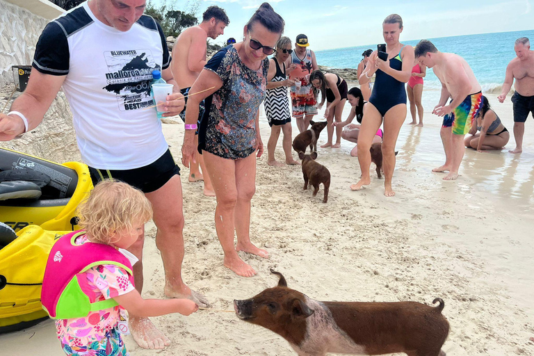 007-Mañana Todo Incluido Nadar con Cerdos en la Isla Rosa007 Todo Incluido-Nadar con cerdos en la Isla Rosa