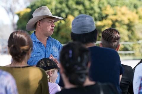 Harrisville: Sommerland Kamelfarm Tour mit Verkostung