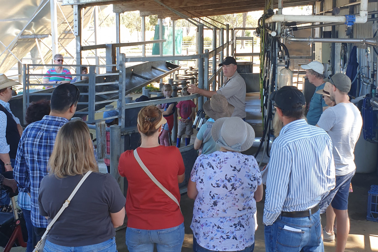 Harrisville: Sommerland Kamelfarm Tour mit Verkostung