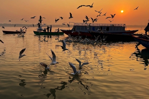 Desde Benarés: Excursión de 3 días a Varanasi y Prayagraj
