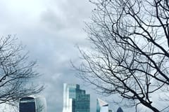 London: Privater Einführungsrundgang mit einem ortskundigen Guide