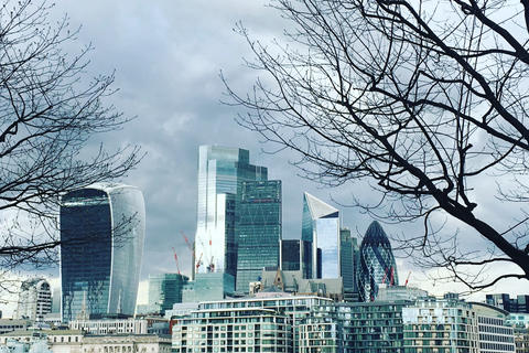London: Private Intro Walk with a Local Guide