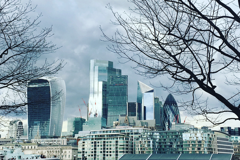 London: Private Intro Walk with a Local Guide