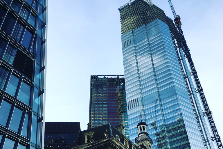 London: Private Intro Walk with a Local Guide