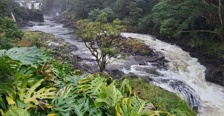 Hilo: Volcanoes National Park and Hilo Private Tour | GetYourGuide