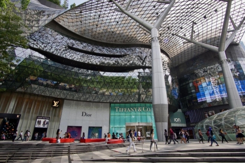 Visita cultural, gastronómica y de transporte de Singapur