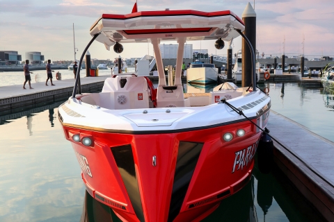 Prywatna wycieczka luksusową łodzią motorowąPrywatna wycieczka luksusową łodzią motorową — 1 godzina