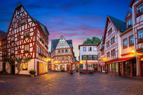 Mainz: Private custom tour with a local guide 4 Hours Walking Tour