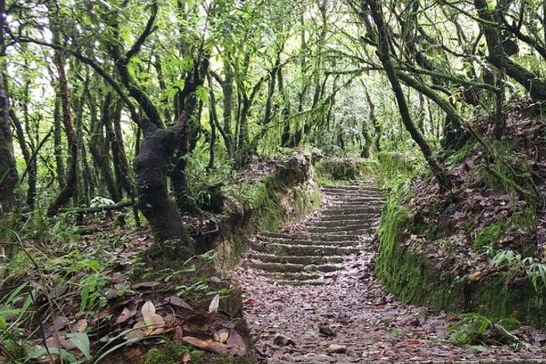 Excursión privada de un día a Shivapuri desde Katmandú