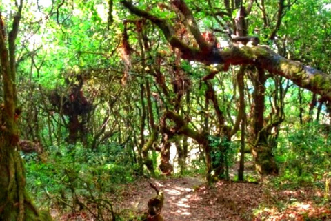 Excursión privada de un día a Shivapuri desde Katmandú