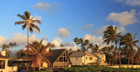 Oahu: Private custom tour with a local guide