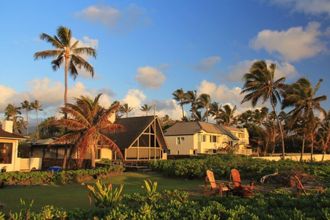 Oahu: Excursión privada a medida con guía localRecorrido a pie de 3 horas