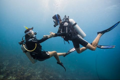 From Makadi Bay: Diving & Snorkeling Boat Tour with Lunch