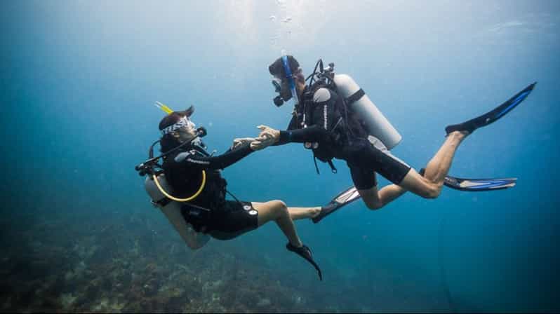 From Makadi Bay: Diving & Snorkeling Boat Tour with Lunch