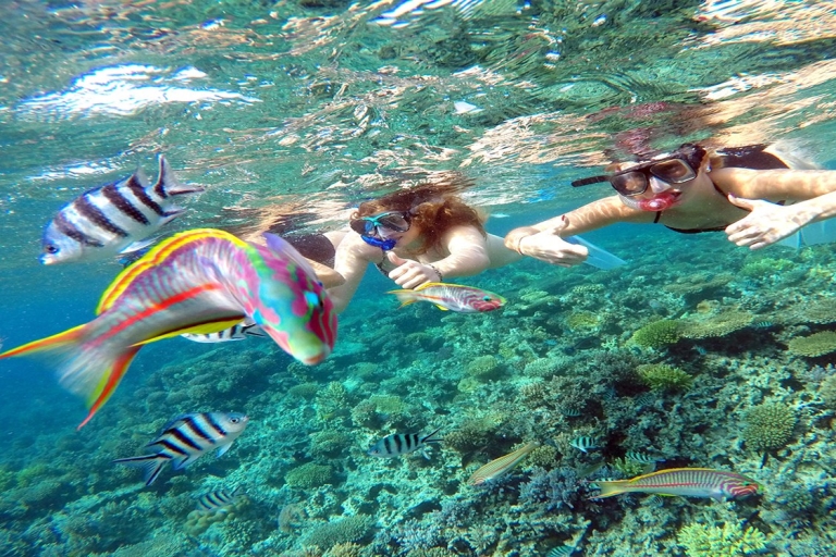 From Makadi Bay: Diving & Snorkeling Boat Tour with Lunch