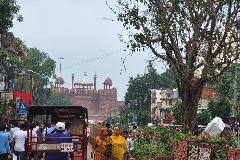 Delhi Unfiltered: Old and New Delhi Sightseeing TourFull Day Tour with Sit-down Lunch