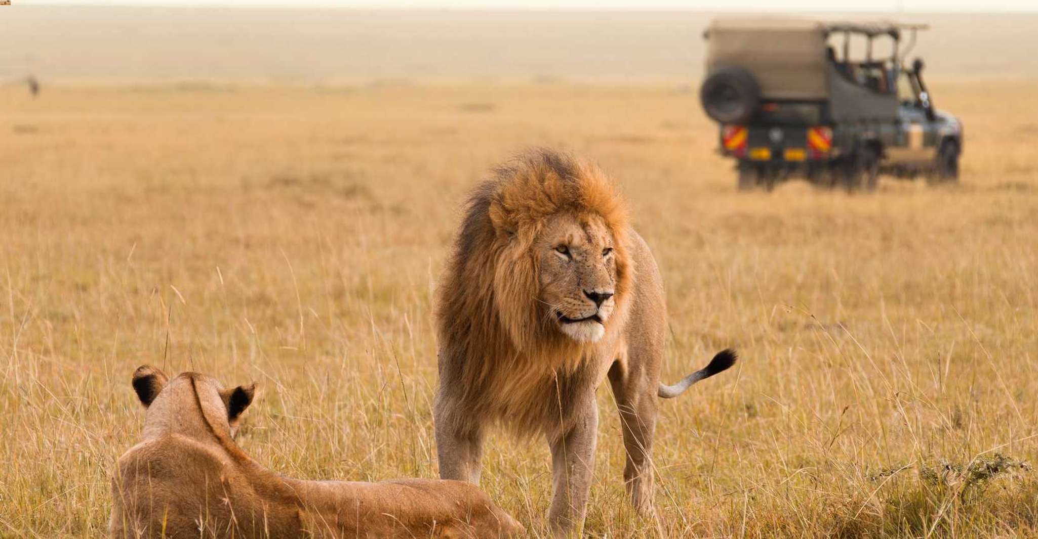 Parco Nazionale di Masai Mara 4 giorni - Hizvo