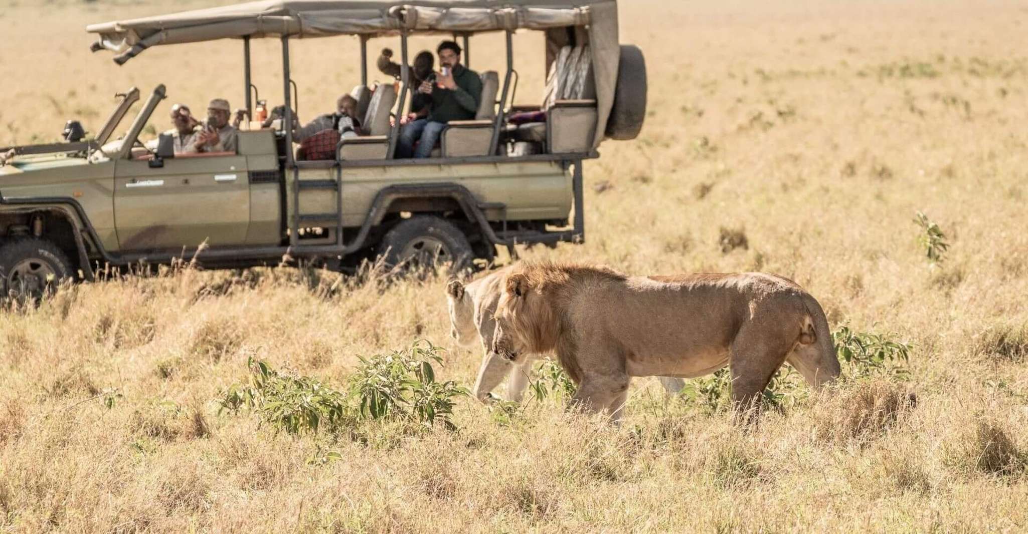 Parco Nazionale di Masai Mara 4 giorni - Hizvo