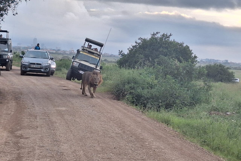 Nairobi Park Game Drive z przewodnikiem z bezpłatnym odbiorem z hotelu