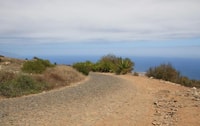 Hike the highest point of Monte Verde - Housity