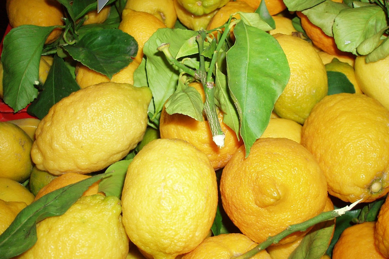 Sorrento: Visita a la Fábrica de Limoncello y Degustación