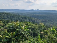 Esperienze di trekking in Gorilla di 3 giorni nella Foresta di Bwindi - Hizvo