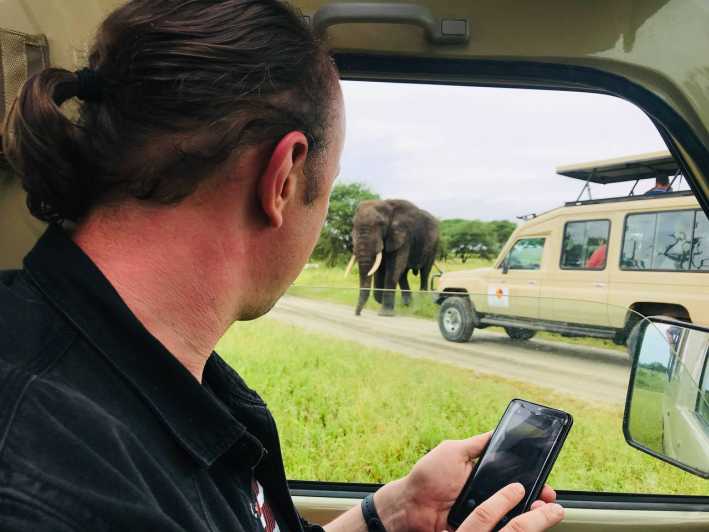 safari zanzibar 1 jour prix