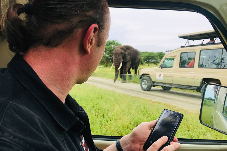 De Zanzibar: Safári no Parque Nacional Nyerere com almoço