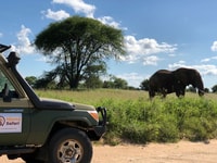 Desde Zanzíbar, Nyerere National Park Game Drive con almuerzo - Housity