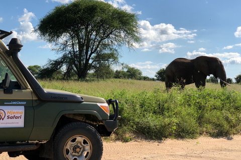 Le meilleur safari d'un jour de Zanzibar à Selous G.R.Safari d'une journée dans le Selous au départ de Zanzibar