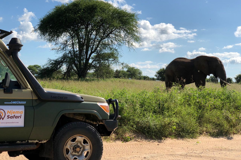 From Zanzibar: Nyerere National Park Game Drive with Lunch