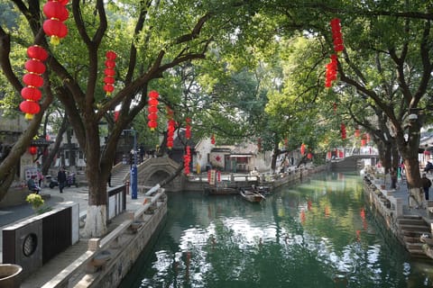 Authentic Tongli Water Town: Garden, Boat & Teahouse Pingtan