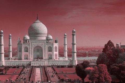 Tour dell&#039;alba del Taj Mahal da Delhi All InclusiveAuto privata + Guida + Biglietti d&#039;ingresso + Colazione e pranzo