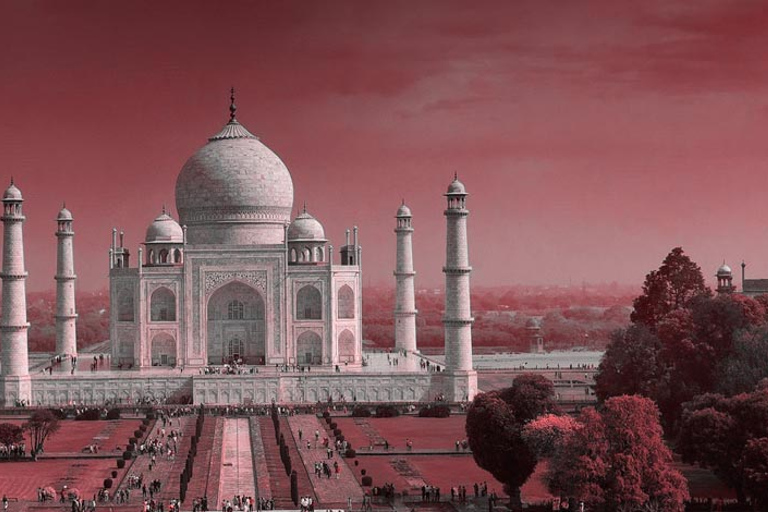 Tour dell&#039;alba del Taj Mahal da Delhi All InclusiveAuto privata + Guida + Biglietti d&#039;ingresso + Colazione e pranzo