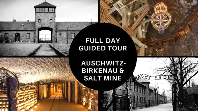 From Krakow: Auschwitz Birkenau and Salt Mine Guided Tour