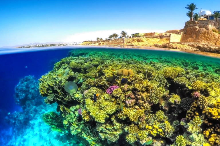Desde Hurghada: Carnaval de Sharm El Arab Snorkeling Trip
