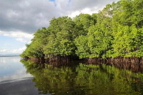 Isla de Nusa Lembongan: Excursión de un día de snorkel y bosque de manglares