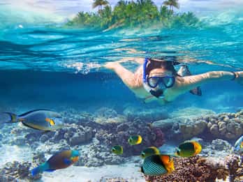 Eiland Nusa Lembongan: Snorkelen & Mangrovebos Dagtocht