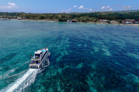 Isla de Nusa Lembongan: Excursión de un día de snorkel y bosque de manglares