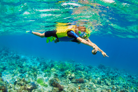 Nusa Lembongan Island: Dagstur med snorkling och mangroveskog