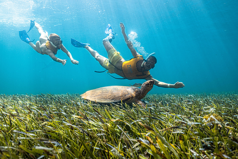 Cancun: Snorkeling Boat Tour with Hotel Transfer and Gear