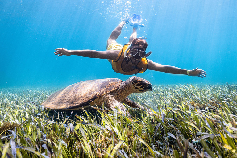 Experiencia de snorkel al amanecer