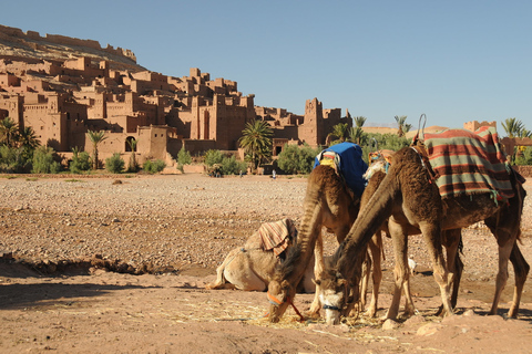 Journée complète de Marrakech à Ait benhaddouExcursion d'une journée à Ait ben Haddou au départ de Marrakech