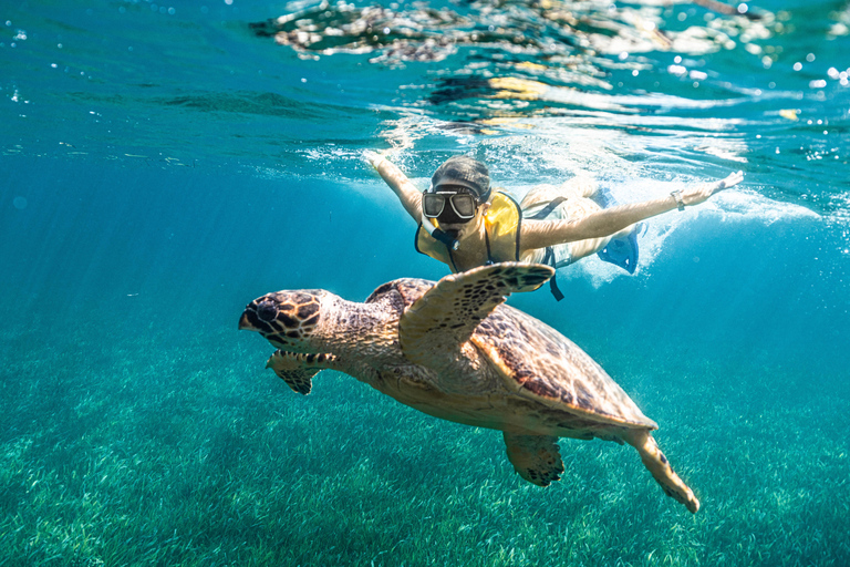 Nurkowanie z rurką dla osób nie pływających w Cancun