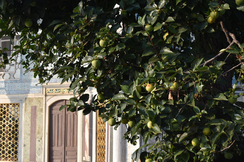 Topkapi Palace Tour: Scenes of the Ottoman Empire